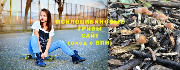 прущий лед Михайловск