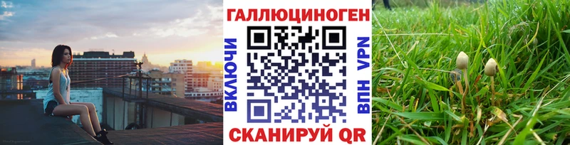 Галлюциногенные грибы ЛСД  Купить  Ставрополь 